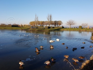 Le_plan d eau jardin personnalite
